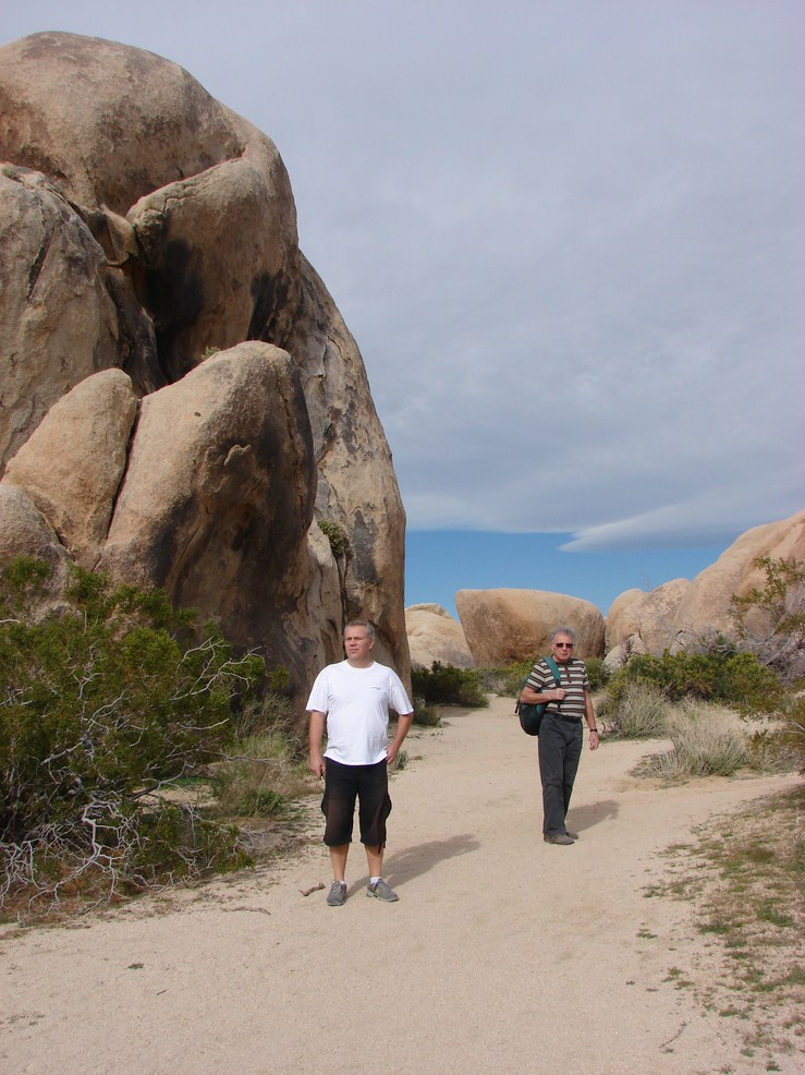 joshua tree (8) (Copier).JPG